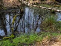 Szene an einem Moorkanal